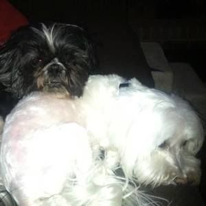 Meet your Posher, Kay